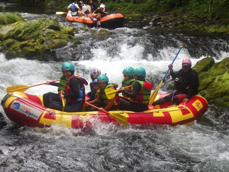 A rafting boat navigating exciting whitewater rapids, surrounded by lush green scenery.