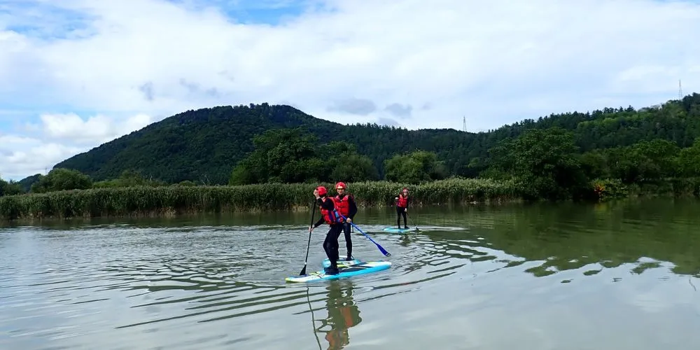 Three adventurers confidently standing on their paddleboards, exploring the scenic shoreline of the lake.
