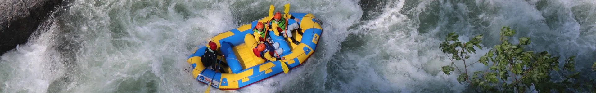 A guide explaining safety measures to participants.